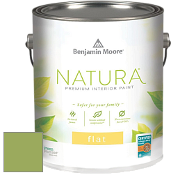 Benjamin Moore 512 Natura Interior Flat Finish матовая краска цвет NCS S 2050-G40Y 