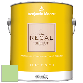 Benjamin Moore 547 Regal Select Waterborne Interior Flat Finish краска цвет NCS S 0540-G30Y 