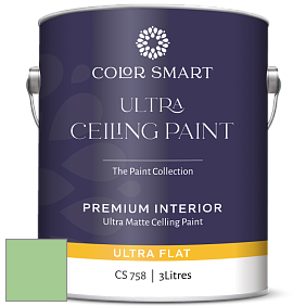 COLOR SMART CS 758 ULTRA CEILING PAINT ультраматовая краска цвет NCS S 1040-G20Y 