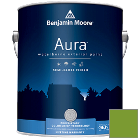 Краска Aura Waterborne Exterior Semi-Gloss Finish (632) цвет 2029-20 Baby Fern