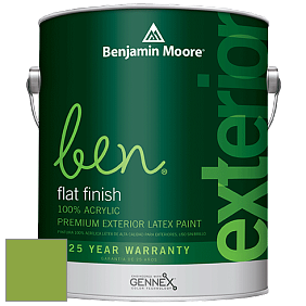 Benjamin Moore Ben 541 Waterborne Exterior Flat Finish краска цвет 2029-30 Rosemary Green