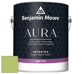 Benjamin Moore Aura 522 Interior Paint - Matte краска цвет 2029-40 Stem Green