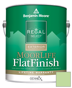 Краска Benjamin Moore W105 Regal Select Exterior Paint-MoorLife Flat Finish краска цвет 556 Sounds of Nature