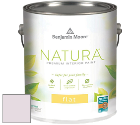 Benjamin Moore 512 Natura Interior Flat Finish матовая краска цвет NCS S 0907-R30B 