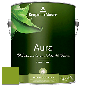 Benjamin Moore Aura 528 Waterborne Interior Semi-gloss Finish краска цвет 2028-10 Iguana Green