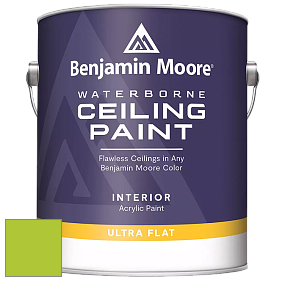 Benjamin Moore 508 Waterborne Ceiling Paint краска для потолков цвет NCS S 0575-G40Y 
