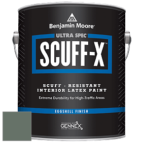 Benjamin Moore 485 Ultra Spec SCUFF-X Interior Eggshell Finish краска цвет NCS S 6010-G10Y 