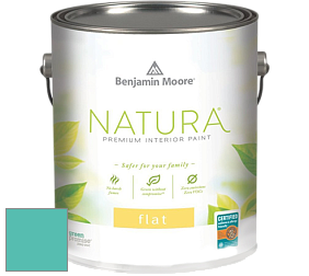 Benjamin Moore 512 Natura Interior Flat Finish матовая краска цвет 2048-40 Poolside Blue
