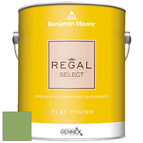 Benjamin Moore 547 Regal Select Waterborne Interior Flat Finish краска цвет NCS S 2050-G30Y 