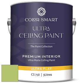 COLOR SMART CS 758 ULTRA CEILING PAINT ультраматовая краска цвет 2029-40 Stem Green