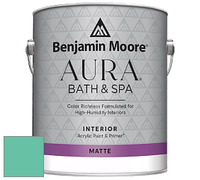 Benjamin Moore Aura 532 Bath & Spa Waterborne Interior Paint Matte Finish краска цвет 2043-40 Egyptian Green
