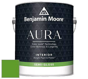 Benjamin Moore Aura 528 Waterborne Interior Semi-gloss Finish краска цвет 2030-10 Lizard Green