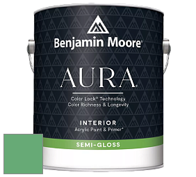 Benjamin Moore Aura 528 Waterborne Interior Semi-gloss Finish краска цвет NCS S 2050-G10Y 