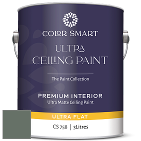 COLOR SMART CS 758 ULTRA CEILING PAINT ультраматовая краска цвет 700 Enchanted Forest