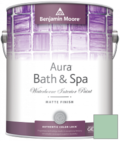 Краска Benjamin Moore Aura Bath & Spa Interior Paint Matte Finish (532) цвет 2035-50 Spruce Green