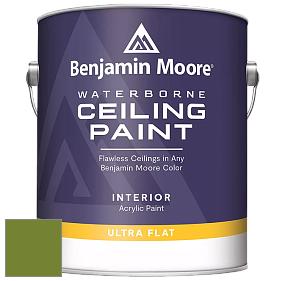 Benjamin Moore 508 Waterborne Ceiling Paint краска для потолков цвет NCS S 3065-G40Y 