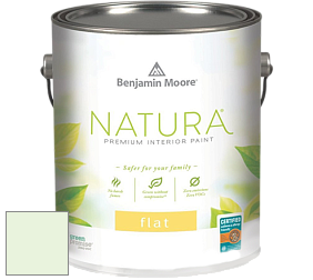 Benjamin Moore 512 Natura Interior Flat Finish матовая краска цвет 2032-70 Lime Sorbet
