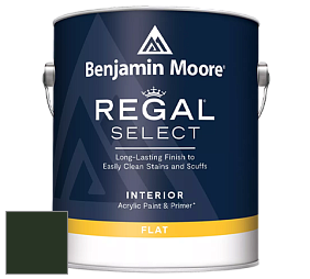 Benjamin Moore 547 Regal Select Waterborne Interior Flat Finish краска цвет RAL 6007 