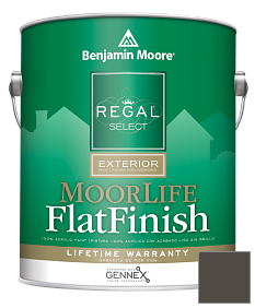 Краска Regal Select Exterior Paint-MoorLife Flat Finish (W105) цвет 2134-10 Night Horizon