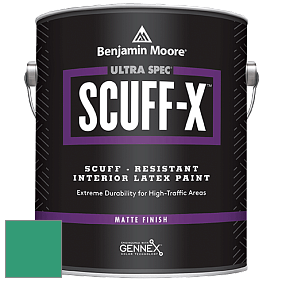 Benjamin Moore 484 Ultra Spec SCUFF-X Interior Matte Finish краска цвет 2043-30 Kelp Forest Green