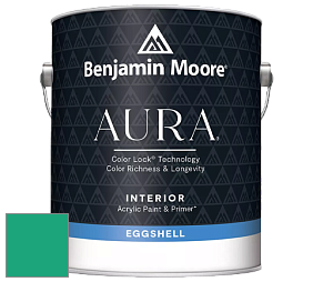 Benjamin Moore Aura 524 Waterborne Interior Eggshell Finish краска цвет 2045-30 Green Leaf