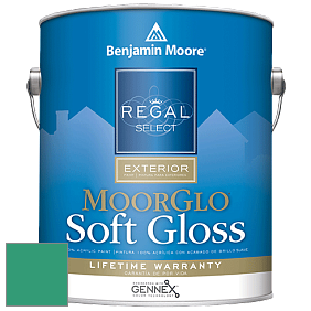 Benjamin Moore W096 Regal Select Exterior Paint-Moor GloSoft Gloss Finish краска цвет 2043-30 Kelp Forest Green