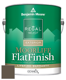 Benjamin Moore W105 Regal Select Exterior Paint-MoorLife Flat Finish краска цвет 2137-20 Char Brown