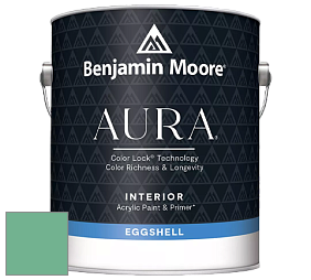 Benjamin Moore Aura 524 Waterborne Interior Eggshell Finish краска цвет NCS S 2040-G 
