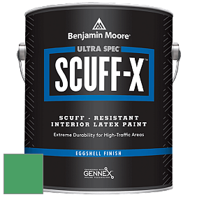 Benjamin Moore 485 Ultra Spec SCUFF-X Interior Eggshell Finish краска цвет NCS S 2060-G10Y 