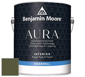 Benjamin Moore Aura 524 Waterborne Interior Eggshell Finish краска цвет NCS S 6530-G50Y 