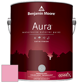 Benjamin Moore Aura 631 Waterborne Exterior Satin Finish краска цвет 2000-50 Blush Tone
