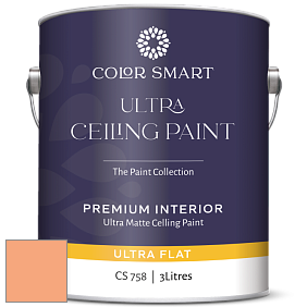 COLOR SMART CS 758 ULTRA CEILING PAINT ультраматовая краска цвет NCS S 1040-Y50R 