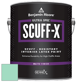 Benjamin Moore 484 Ultra Spec SCUFF-X Interior Matte Finish краска цвет 2038-50 Return to Paradise