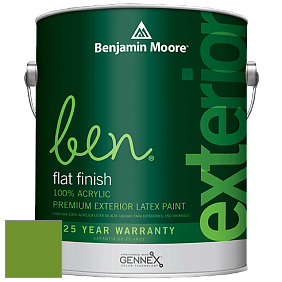 Benjamin Moore Ben 541 Waterborne Exterior Flat Finish краска цвет 2029-10 Basil Green