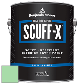 Benjamin Moore 485 Ultra Spec SCUFF-X Interior Eggshell Finish краска цвет NCS S 0540-G10Y 