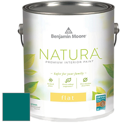 Benjamin Moore 512 Natura Interior Flat Finish матовая краска цвет NCS S 4550-B40G 