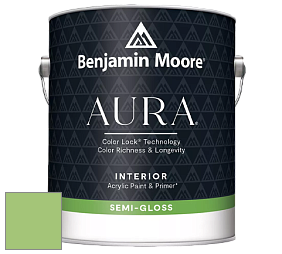 Benjamin Moore Aura 528 Waterborne Interior Semi-gloss Finish краска цвет NCS S 1050-G30Y 