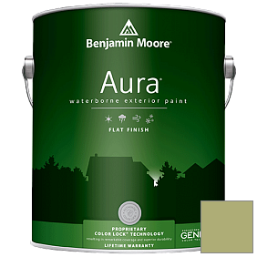 Краска Aura Waterborne Exterior Flat Finish (629) цвет 538 Vienna Green