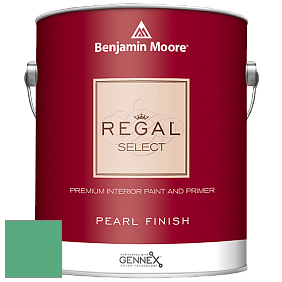 Benjamin Moore 550 Regal Select Waterborne Interior Pearl Finish краска цвет NCS S 2050-G 