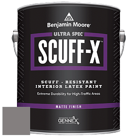 Benjamin Moore 484 Ultra Spec SCUFF-X Interior Matte Finish краска цвет NCS S 5502-R 