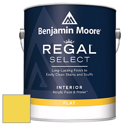 Benjamin Moore 547 Regal Select Waterborne Interior Flat Finish краска цвет NCS S 0560-G90Y 