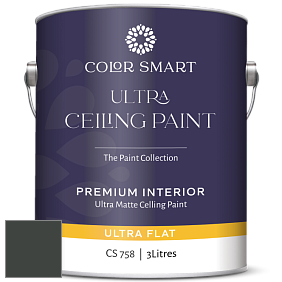 COLOR SMART CS 758 ULTRA CEILING PAINT ультраматовая краска цвет NCS S 8505-G20Y 