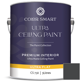 Краска COLOR SMART CS 758 ULTRA CEILING PAINT ультраматовая краска цвет 2132-10 Black