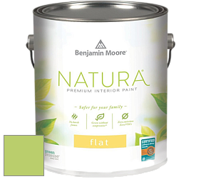 Benjamin Moore 512 Natura Interior Flat Finish матовая краска цвет 418 Willow Springs Green