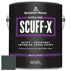 Benjamin Moore 484 Ultra Spec SCUFF-X Interior Matte Finish краска цвет 2050-10 Salamander