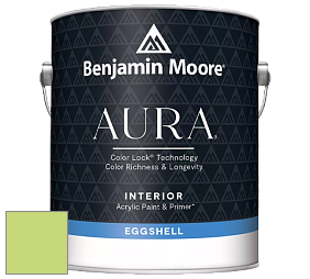 Benjamin Moore Aura 524 Waterborne Interior Eggshell Finish краска цвет NCS S 0550-G40Y 