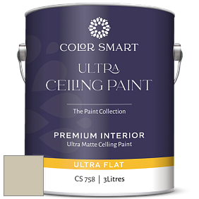 COLOR SMART CS 758 ULTRA CEILING PAINT ультраматовая краска цвет 2143-40 Camouflage