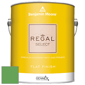 Benjamin Moore 547 Regal Select Waterborne Interior Flat Finish краска цвет NCS S 2060-G20Y 