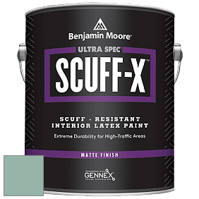 Benjamin Moore 484 Ultra Spec SCUFF-X Interior Matte Finish краска цвет HC-138 BM HC-138