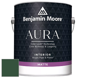 Benjamin Moore Aura 522 Interior Paint - Matte краска цвет NCS S 6530-G10Y 
